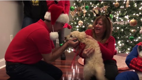 Dad gets surprise puppy for Christmas