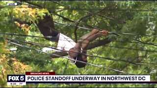 Man Climbs Wires To Avoid Cops After Firing Shots, Exposing Himself