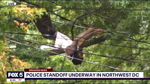 Man Climbs Wires To Avoid Cops After Firing Shots, Exposing Himself