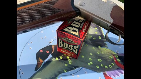 What's the deal with a TriStar Over and Under 12gauge? Rust!!! Boss Shot Gun Shells