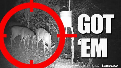 Deer Camera Trail footage from DIY Corn Feeder Nice Herd