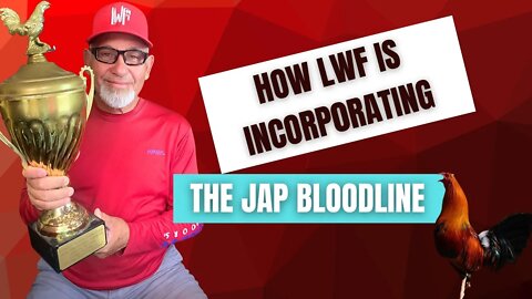 GAMEFOWL TALK / HOW LWF is INCORPORATING THE JAPS - FOWL STREAM