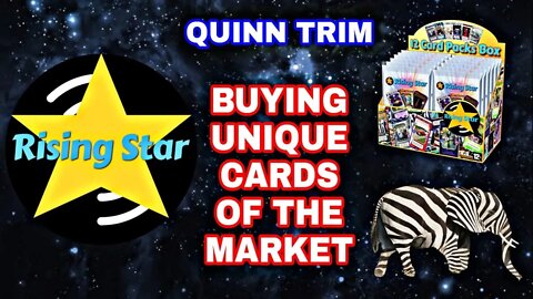 Buying Unique Cards In Rising Star And Third Party Sites | NFT Meta Verse Quinn Trim | Games World.