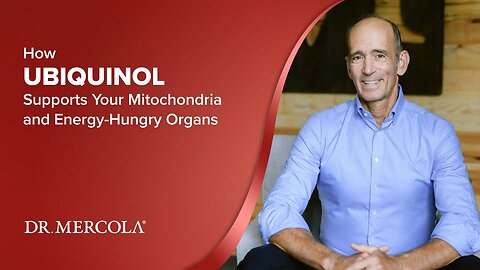How UBIQUINOL Supports Your Mitochondria and Energy-Hungry Organs