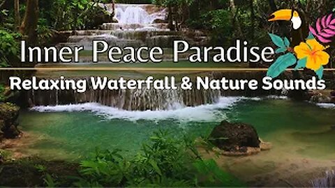 Natural Sleep Aid: Serene Forest Waterfall Sounds for Relaxation and Studying