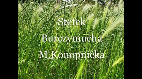 Stefek Burczymucha - M.Konopnicka