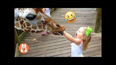 Videos Graciosos de Animales y Bebés 😂 Momentos Divertidos de Bebés en el Zoológico | Videos de risa