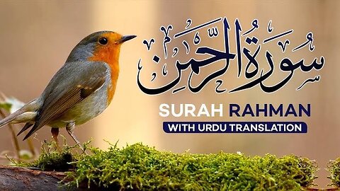 Surah Rahman With Urdu Translation Full _ Qari Al Sheikh Abdul Qadir Abdul Samad _ Surah Rahman