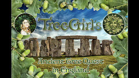 TreeGirl's Ancient Tree Quest in England!