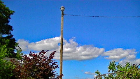 IECV TLV #31 - 👀 Time Lapse Of Clouds And Trees ☁☁ 6-3-2019