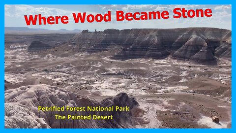 Where Wood Became Stone: Petrified Forest National Park and The Painted Desert