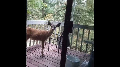 Deer Sanctuary Point of Truth Road