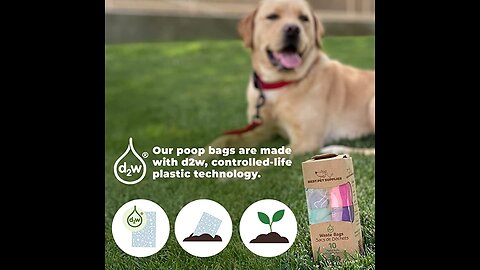 Best Pet Supplies Dog Poop Bags for Waste