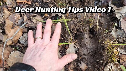 Deer Hunting Tips Video 1