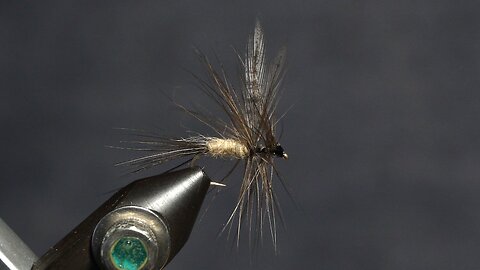 Adult Mayfly with Hackle tip wings (Fling & Puterbaugh 9/30)