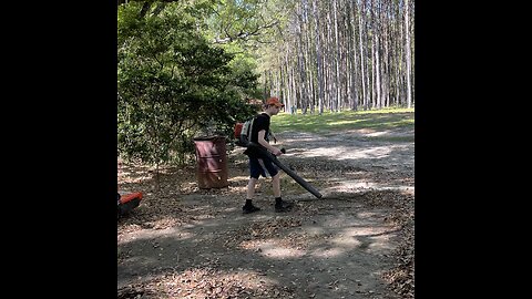 2005 STIHL BR420C Magnum Backpack Blower