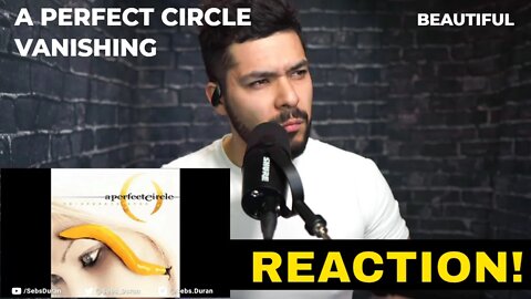 A Perfect Circle Vanishing (Reaction!)