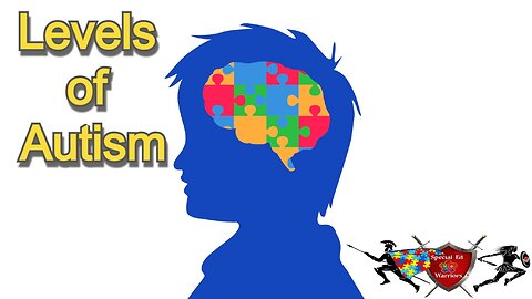Brief Overview of the 3 Levels of Autism