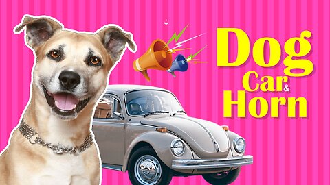 🐶🚗Dog Car & Horn📯