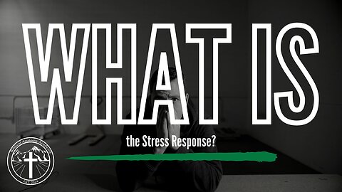 What is the Stress Response?