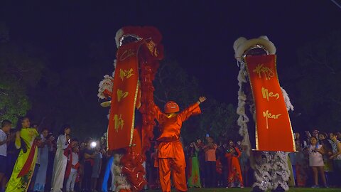 Lion Dance Vietnamese Tet Chinese New Year Celebration Hội Chợ Tết Australia