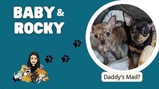 Baby and Rocky - "Daddy's Mad?"