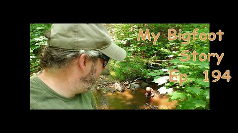 My Bigfoot Story Ep. 194 - Forest Odyssey