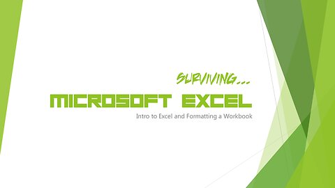 Surviving Excel - Format Worksheet Part 3