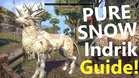 ESO - PURE SNOW Indrik! Tickets, Berries, Guide (Events) Dawn of Dragonguard - Elder Scrolls Online