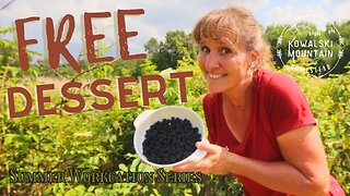 Wild Blackberry Cobbler | Foraging for Dessert | Old Fashioned Treat