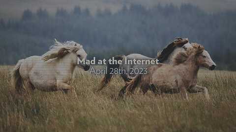 Goodbye Horses (April 28th, 2023) - Mad at the Internet