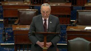 Sen Schumer Claims Supreme Court Ripped Up The Constitution