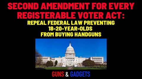 Second Amendment for Every Registerable Voter Act