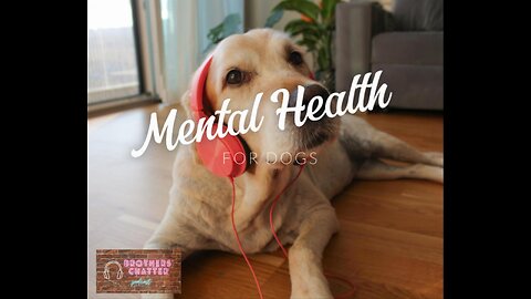 Mental Health Concerns With Dogs - Brothers' Chatter Podcast