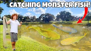 I Caught MONSTER FISH From Backyard POND!