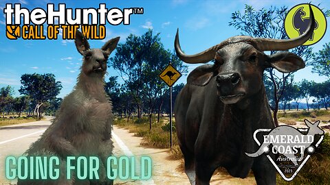 Going for Gold, Emerald Coast | theHunter: Call of the Wild (PS5 4K 60FPS)