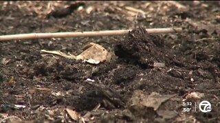 Urban farmers encourage people to compost to lower methane emissions