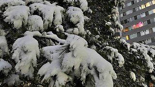 Heavy snowy winter ❄️ in Canada