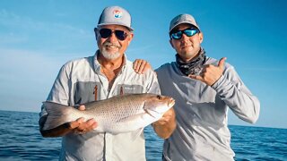 Pt.2 Big Mangrove Snapper and African Pompano on jigheads - Offshore Tampa Bay