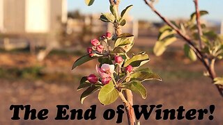 Winter Recap, Plan For Spring | The Desert Farmer Podcast