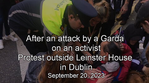 After an attack by a Garda on an activist . Leinster House - 20/09/2023