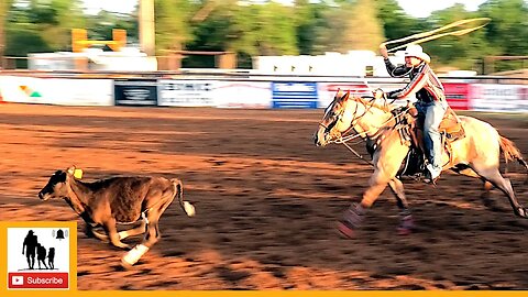 Tie-down Roping - 2023 Wellington Pro Rodeo | Thursday