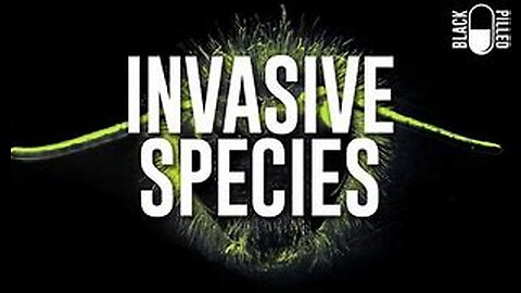 Blackpilled: Invasive Species 3-20-2019 #Bee Stream