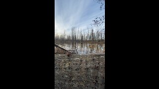 Duck hunting alaska