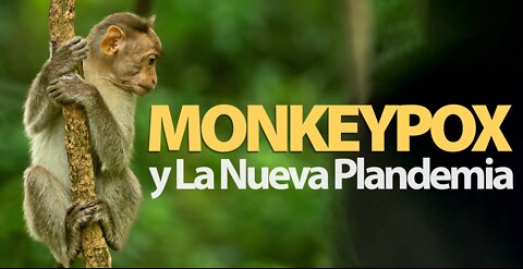 MONKEYPOX LA NUEVA PLANDEMIA