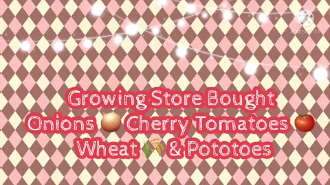 Growing Store Bought Strawberries; Cherry Tomatoes, Wheat & Potatoes