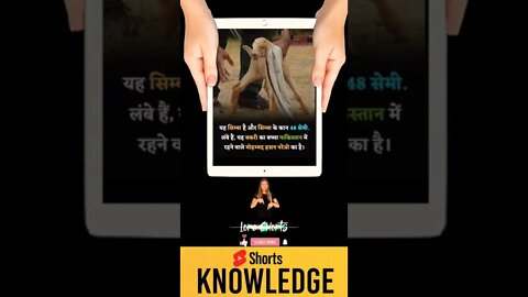 Motivational Quotes Intresting Facts & research #shorts #ytshorts #knowledge #motivation #tranding
