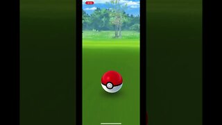 Pokémon Go - Catching Snubbull Gameplay #Shorts