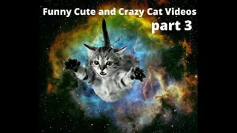 Funny Cute and Crazy Cat Videos Compilation part 3 for Oktober 2022 #short