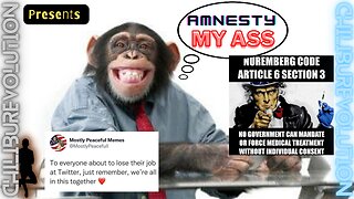 Amnesty my Ass 2